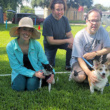 Dog Agility Classes