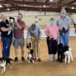 Dog & Puppy Obedience Training